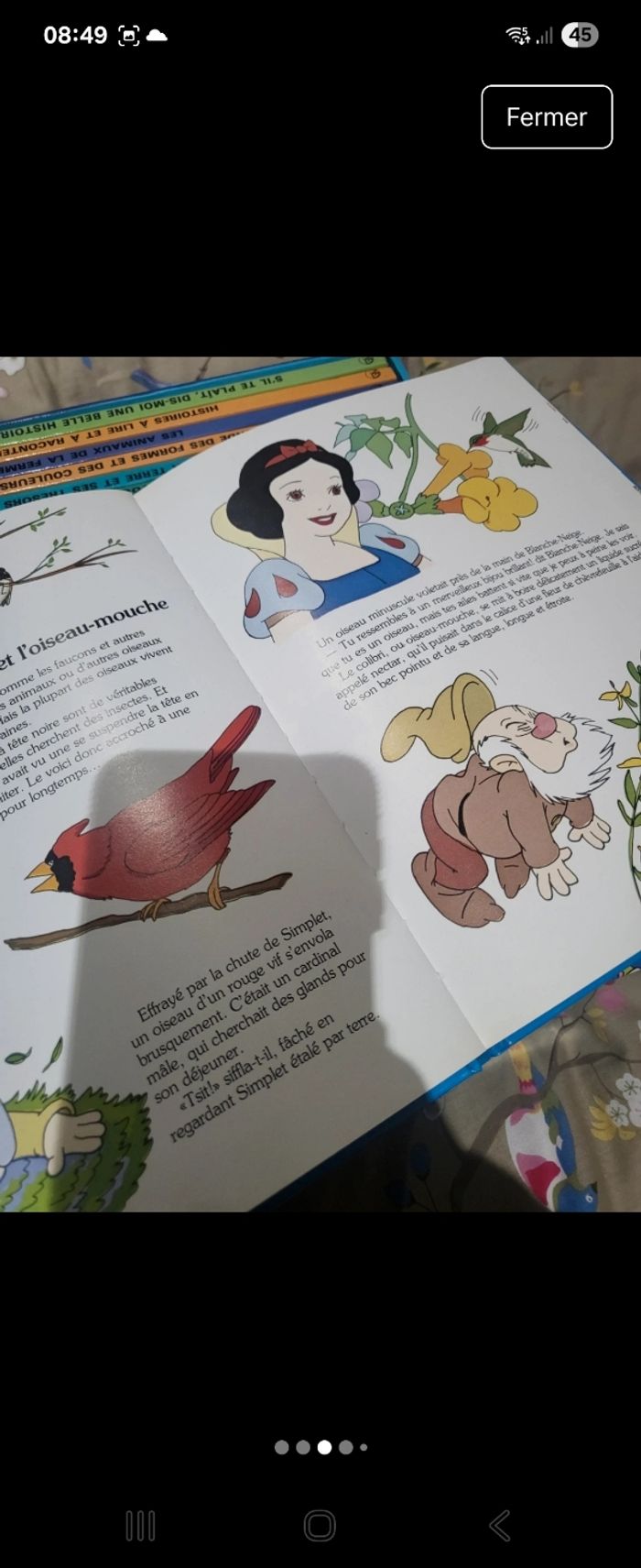 Collection livres disney - photo numéro 3