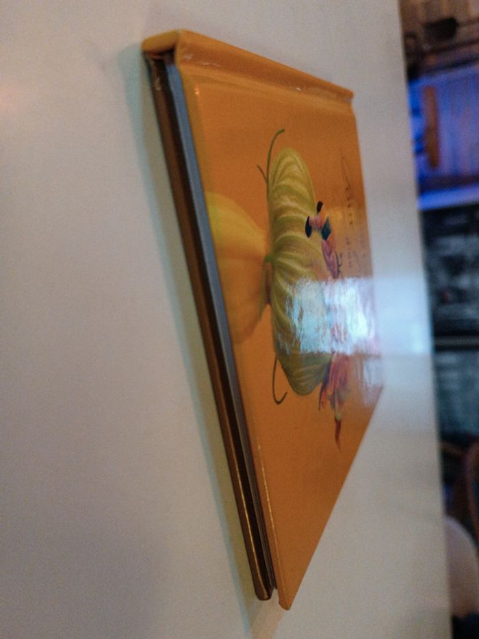 Petit small Livre Book jaune yellow abeille bee photo photographie Anne Geddes bébé baby amour 2003 - photo numéro 3