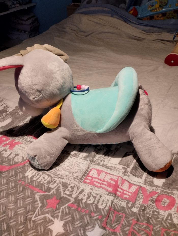 L'âne Titus multi activités - photo numéro 4