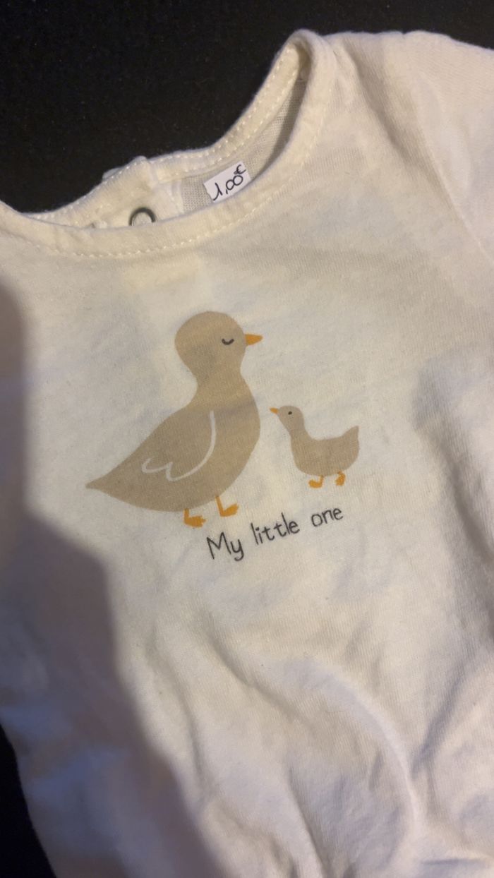 Bodie 0 mois - photo numéro 2