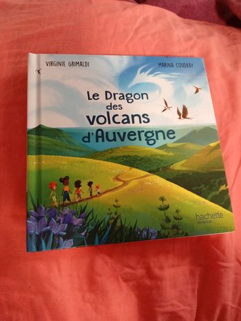 Livre les merveilles de France