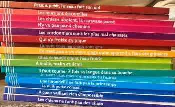 Collection complète livre mcdo