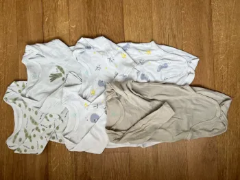 Lot 5 bodies Tex 18 M