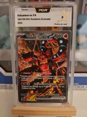 Volcanion 182 9