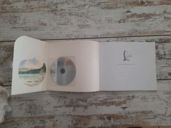 Livre cd littérature braver and thé echo - photo numéro 2