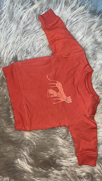 Pull rouillé 56 cm zeeman neuf