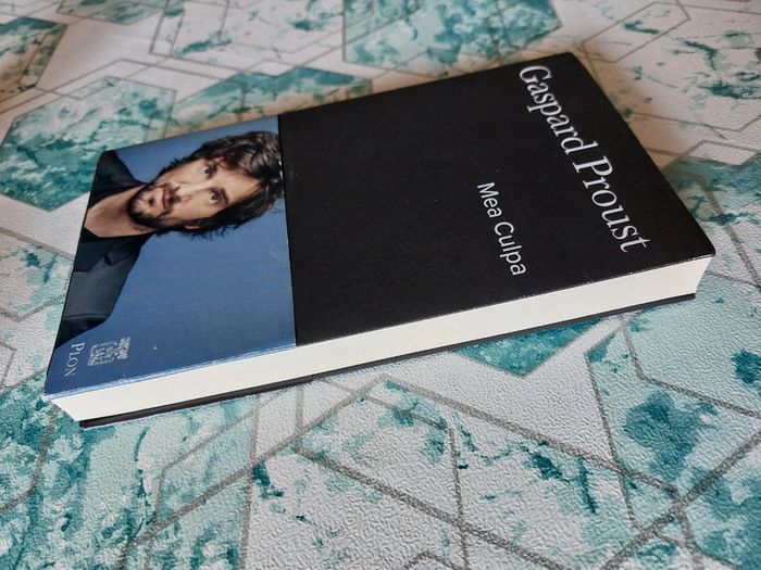 Gaspard Proust - Mea Culpa - photo numéro 8