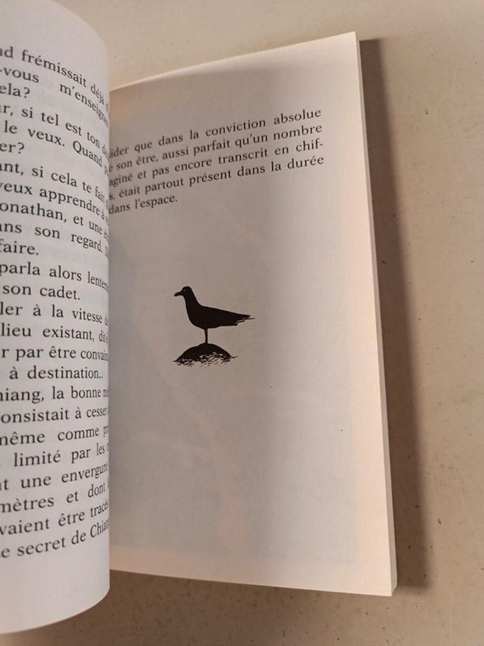 Jonathan Livingston le goéland de Richard Bach - photo numéro 8