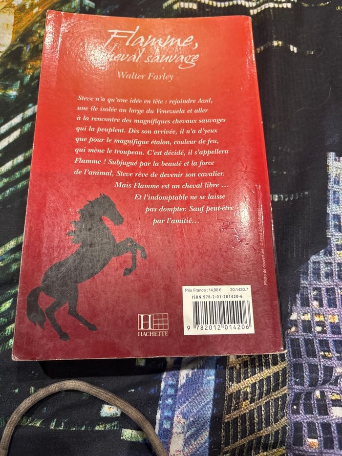 Livre flamme - photo numéro 6