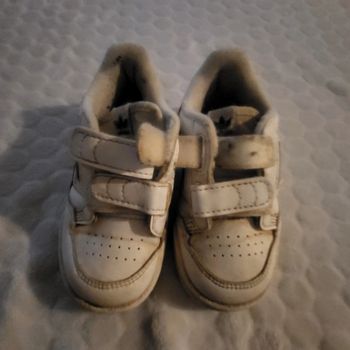 Basket Adidas