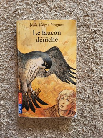 Roman jeunesse Le faucon déniché de Jean-Côme Noguès