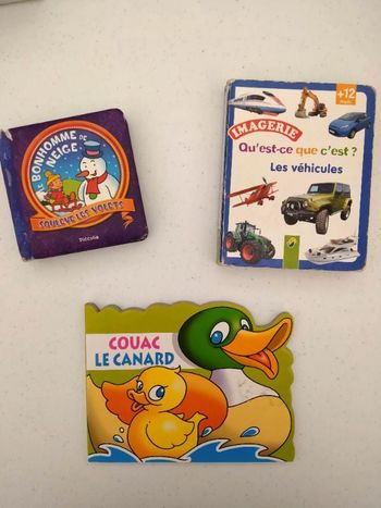 Lot 3 petits livres rigides