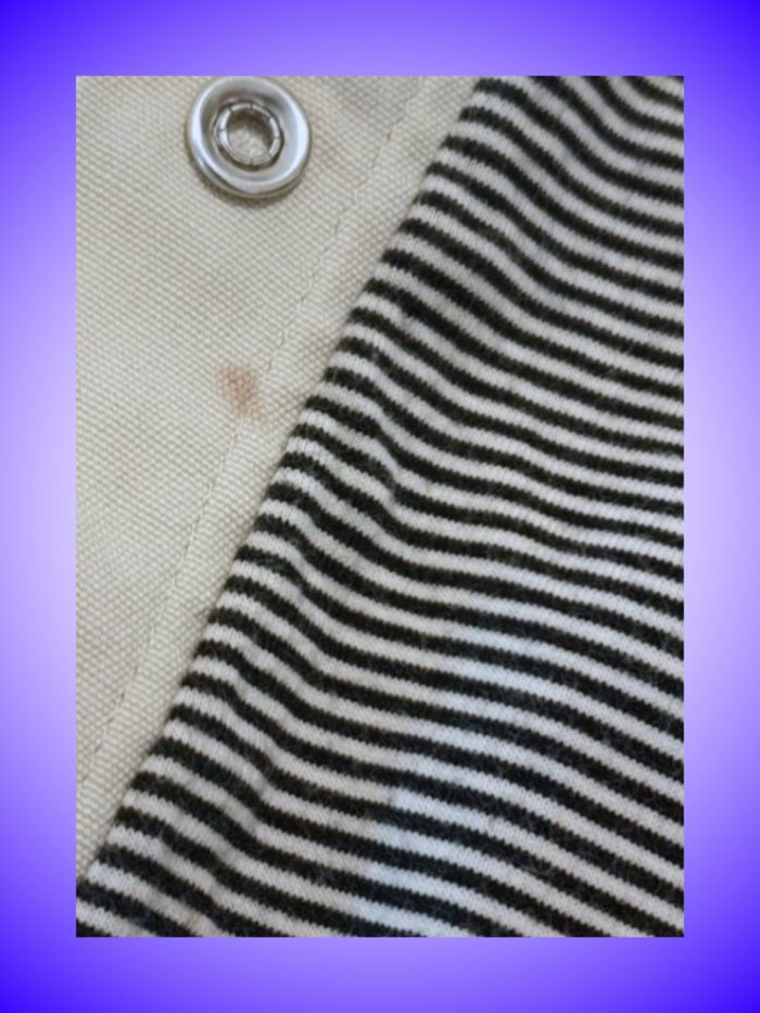 Veste Bébé Beige Peanuts – Snoopy au Dos – Doublure Rayée – 24 mois, 86 cm – Bon État - photo numéro 4