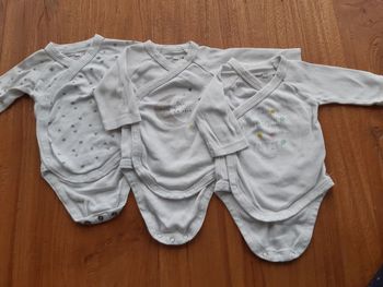 3 body gemo 1 mois