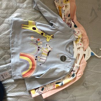 Lot 3 tee shirt manche longue