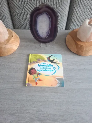 Livre Mcdo une hirondelle ne fait pas le printemps