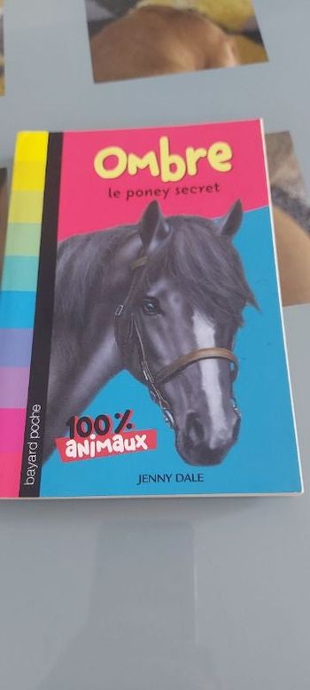 Ombre le poney secret