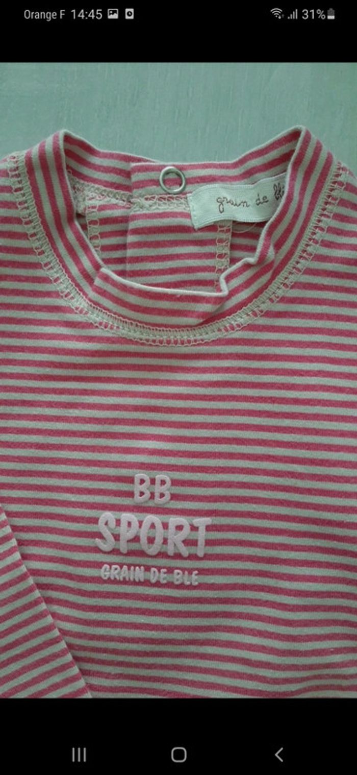 T-shirt Grain de blé 12 mois - photo numéro 2