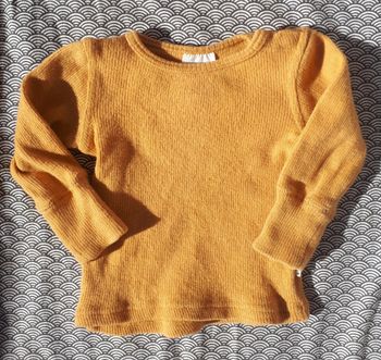 Teesh golden oat Manymonths 