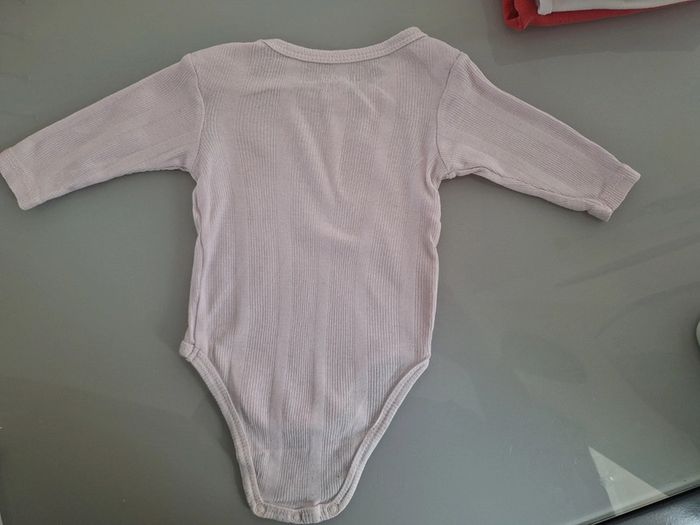 Bodie 3 mois - photo numéro 2