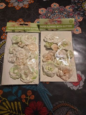 Rose blanche et vert avec des paillettes pour scrapbooking