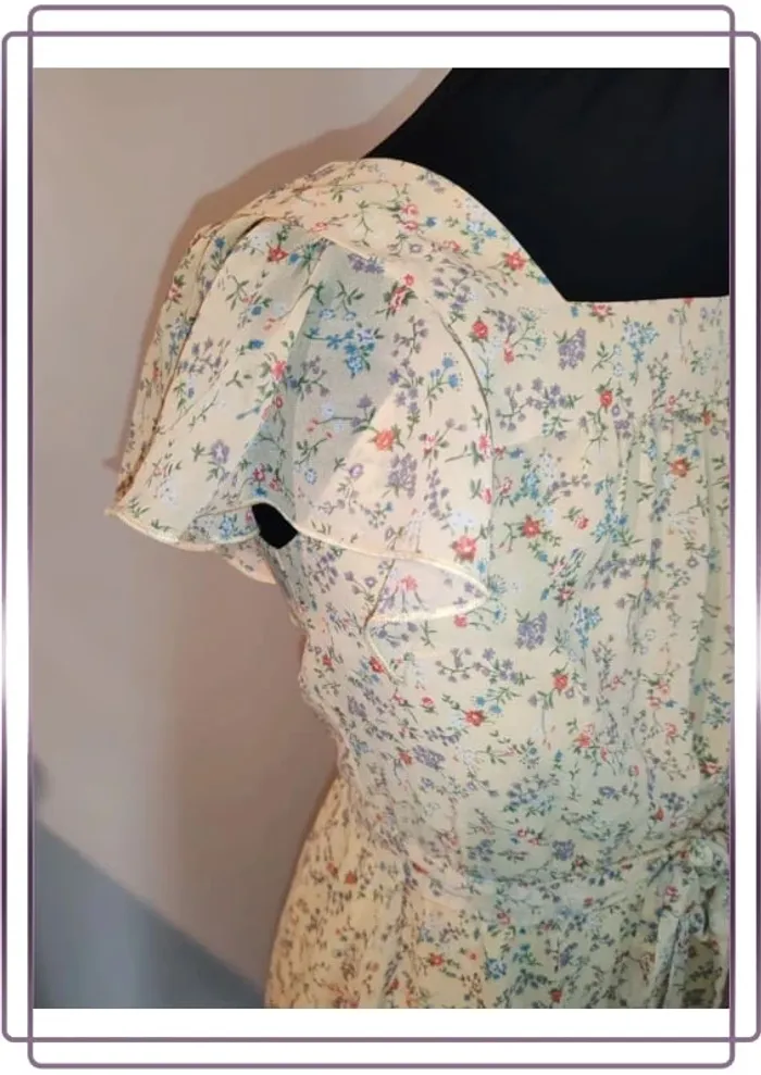 Robe allegera - photo numéro 4