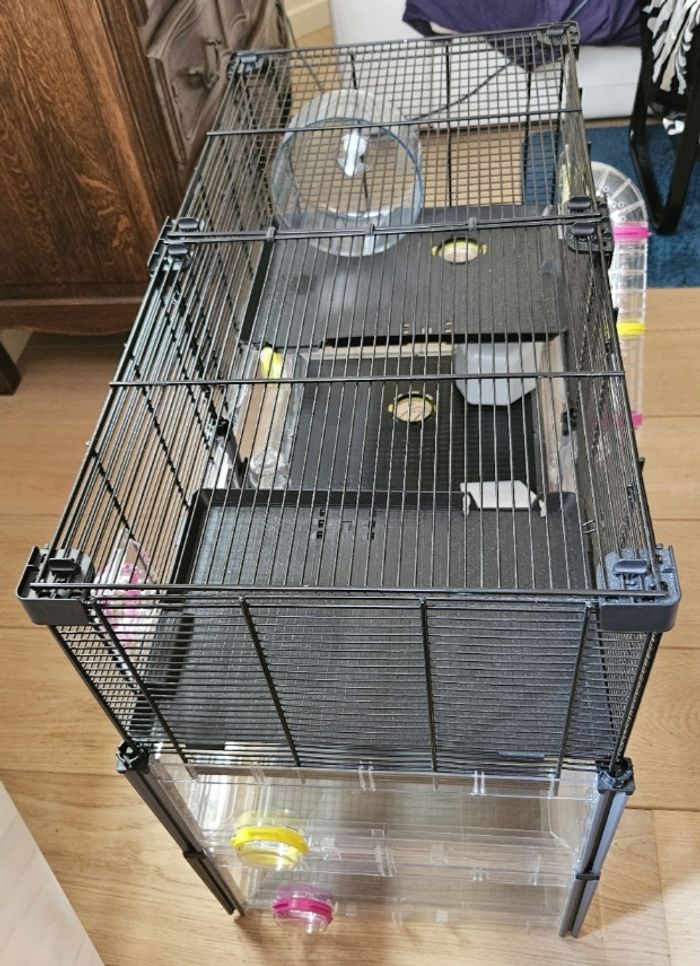 Cage pour Rongeurs : Hamster, cochons d’Inde, souris, cobaye ... - photo numéro 3