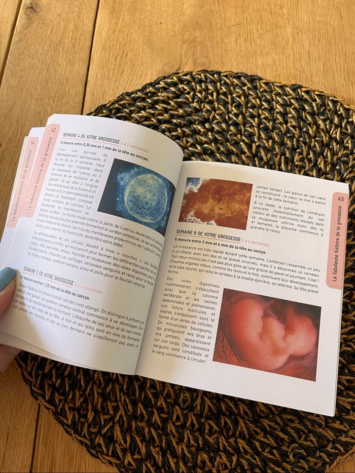 Livre votre grossesse - photo numéro 2