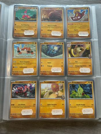 Carte Pokémon combat