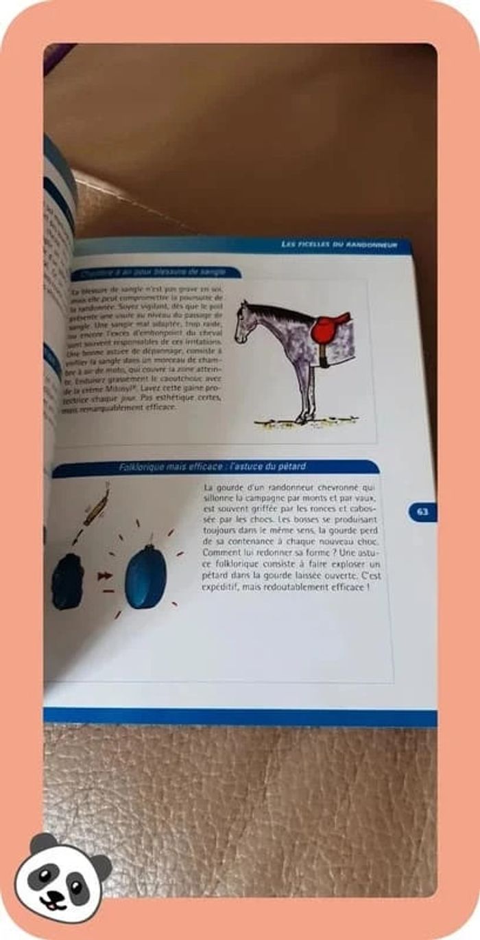 Livre "les 1 000 trucs du cavalier" état neuf - photo numéro 3