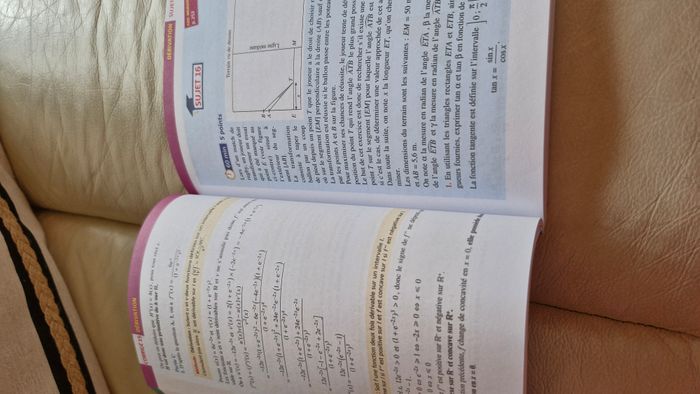(369) articles disponibles                                          Annales Bac Terminale - photo numéro 4