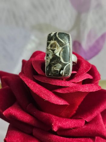 Bague en argent sterling 925 avec sa pierre turritella fossil