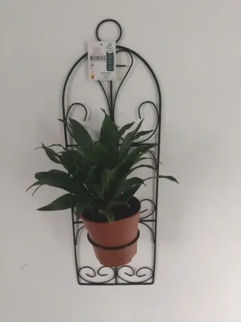 Art végétal mural, porte-plante en métal unique
