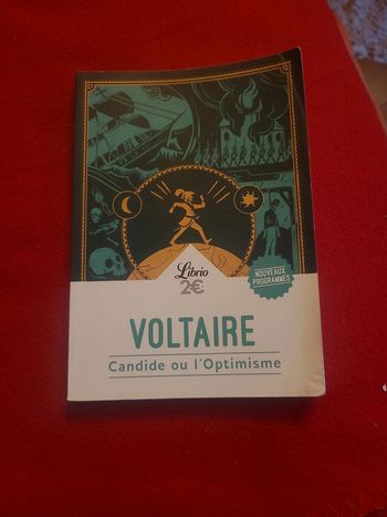Candide ou l'optimisme