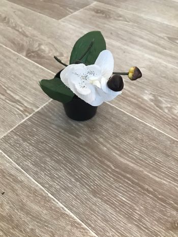 Pot de fleurs