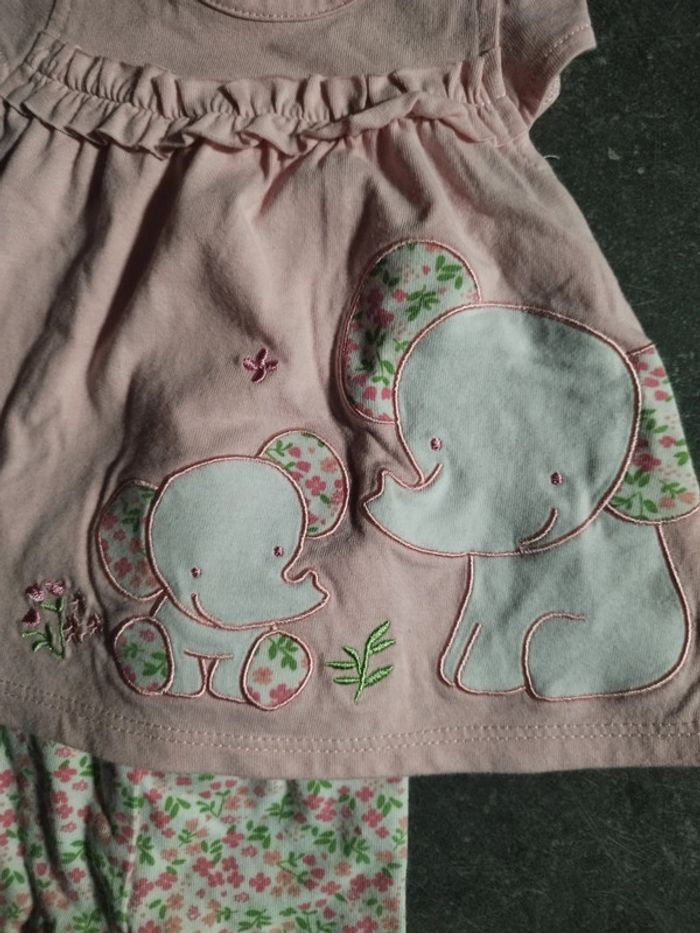 Ensemble été éléphants 1 mois - photo numéro 2