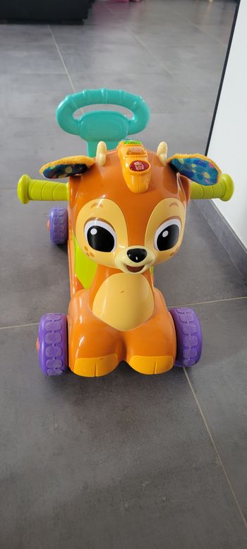 VTech Fauve 4 en 1