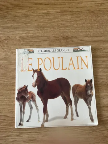 Le poulain