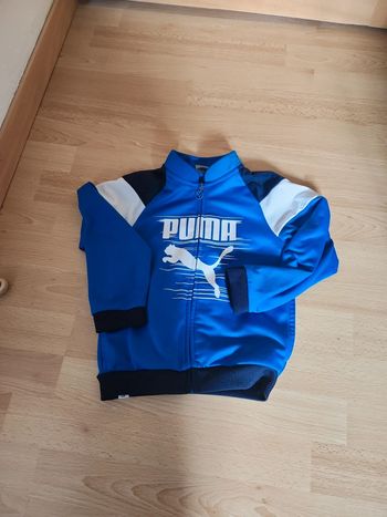 Veste puma