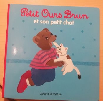 Livre petit ours brun