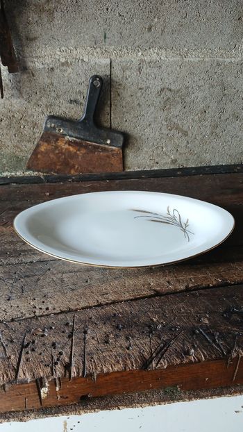 Plas en porcelaine de Limoges 