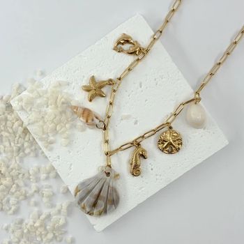 Collier coquillage hypocanpe ✅