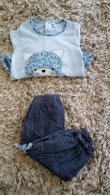 Ensemble chat 6 mois