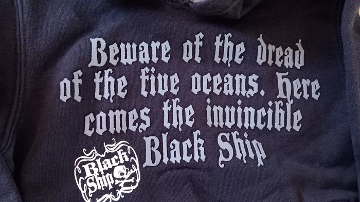 Lot 2 sweats capuche 5 ans - photo numéro 3