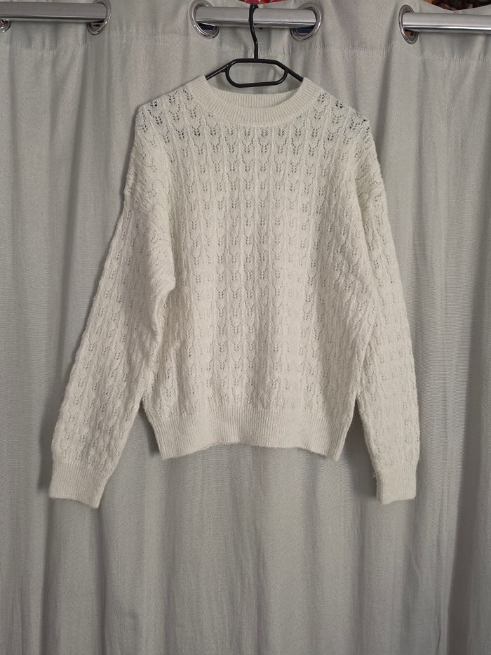 Pull mango - photo numéro 1