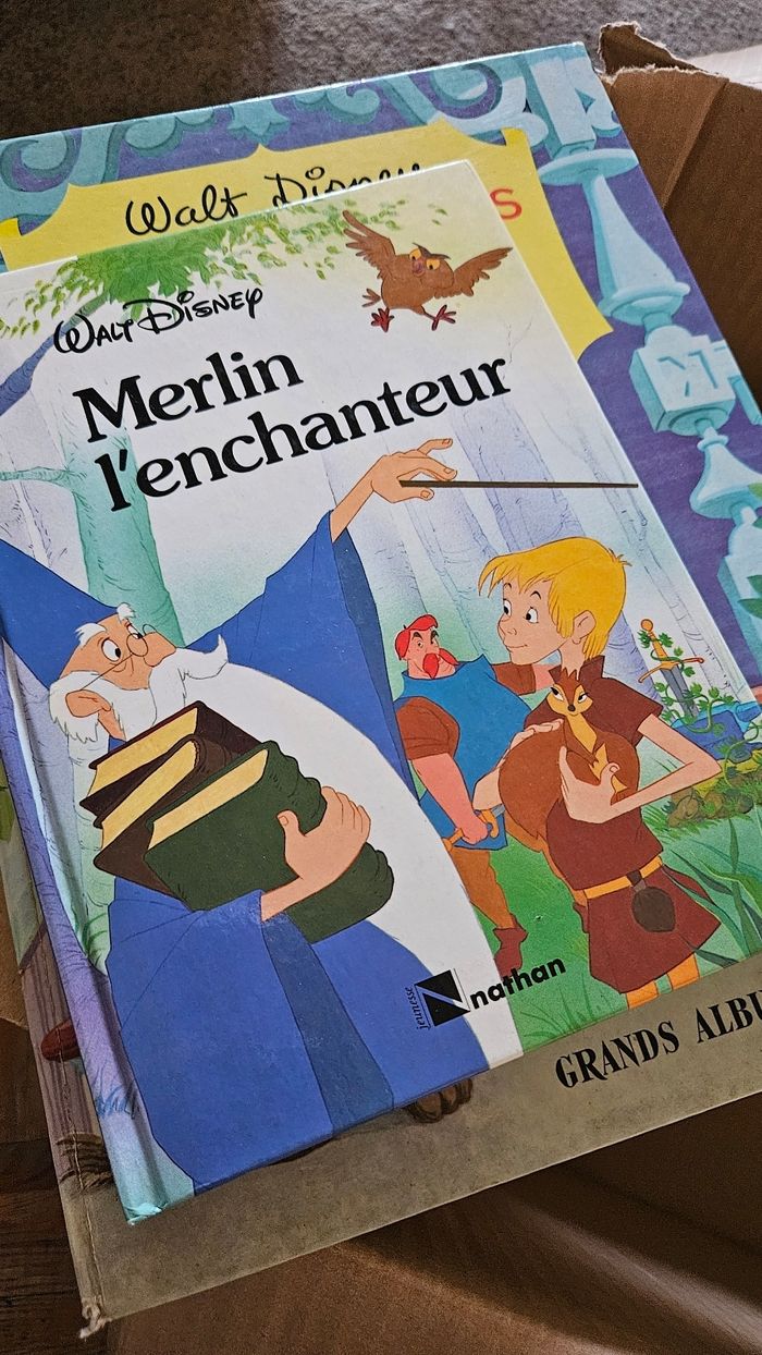 Gros lot livres Disney vintage - photo numéro 5
