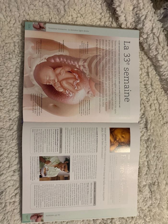 Livre de grossesse - photo numéro 3
