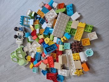 Vrac Lego Duplo 1kg120