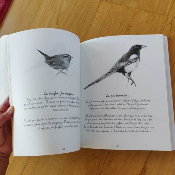 Lot livres activités 4/7 Ans - photo numéro 9