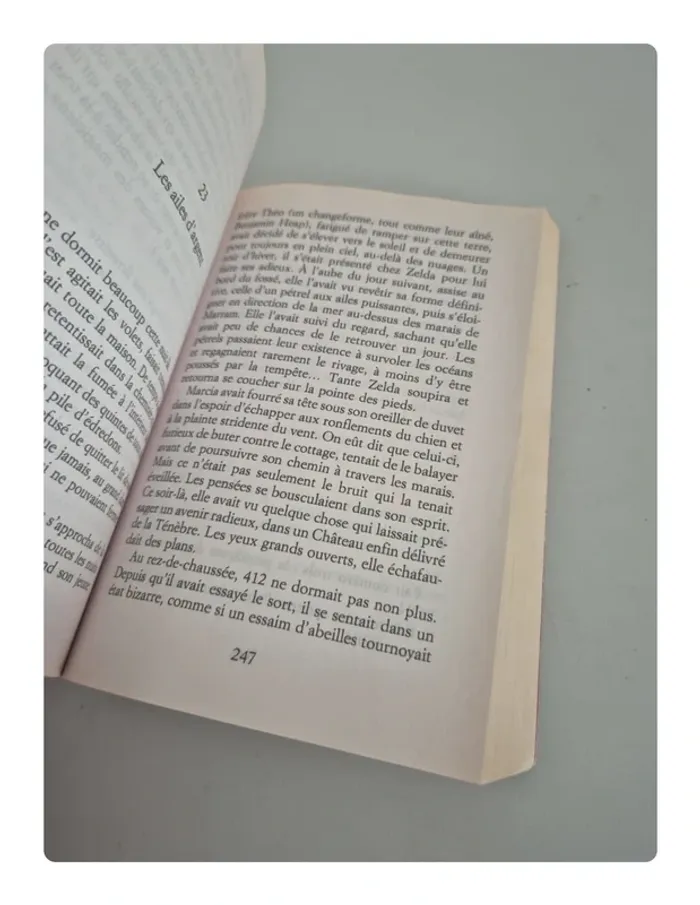 Magyk livre un - photo numéro 4
